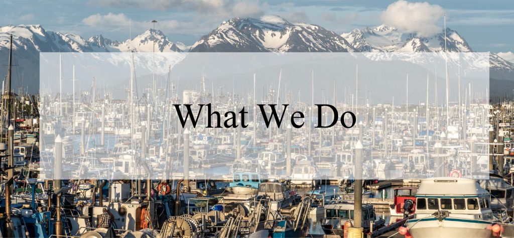 what we do header